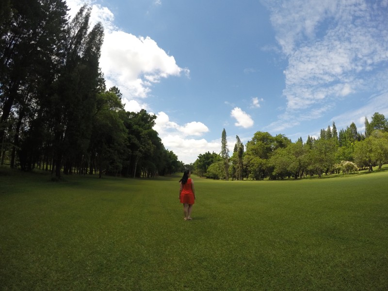 DCIM109GOPROGOPR9445.