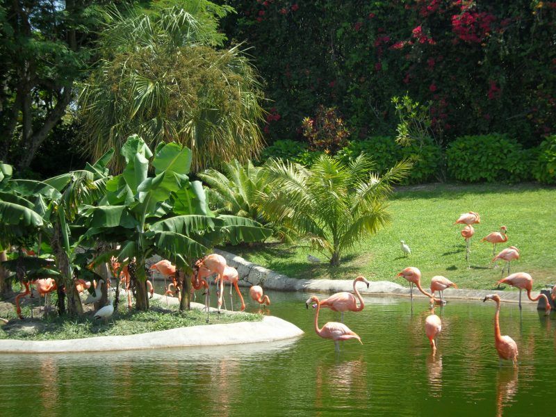 O que fazer em Miami com família
